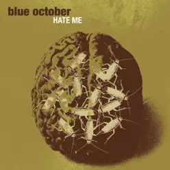 Hate Me - Single - Blue October
