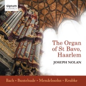 The Organ of St Bavo, Haarlem artwork