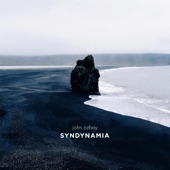 Syndynamia artwork
