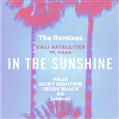 In the Sunshine (AG Remix) artwork