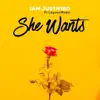 She Wants (feat. Layvon) - Single album lyrics, reviews, download