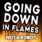 Going Down in Flames - Not a Robot lyrics