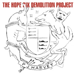 THE HOPE SIX DEMOLITION PROJECT cover art