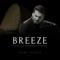 Breeze (Live at the Heydar Aliyev Center) artwork