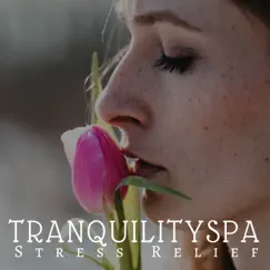 Tranquility Spa: Stress Relief Sleeping Meditation Music, Total Relaxing Music, Calming Evening by Now and Zen Records & Brain Food album reviews, ratings, credits