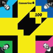 + 100 - Casuarina