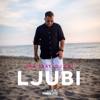 Ljubi (feat. DJ Emi) - Single