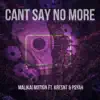 Can't Say No More (feat. Kresnt & Psyah) - Single album lyrics, reviews, download