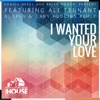 I Wanted Your Love (feat. Ali Tennant) [DJ Spen & Gary Hudgins Remix] - Single