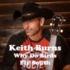 Why Do Birds Fly South - Single