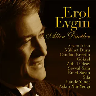 last ned album Erol Evgin - Altın Düetler