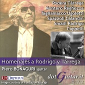 Homenajes a Rodrigo y Tárrega artwork