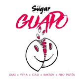 Guapo (feat. Neo Pistea, Duki, C.R.O. & Kaktov) [Single] artwork