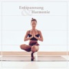 Entspannung & Harmonie - Wellness, Autogenes Training, Meditieren, Beruhigen