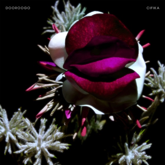 Cover artwork for Dooroogo