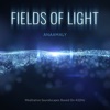 Fields of Light, 2018