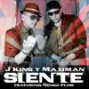 Siente (feat. Ñengo Flow) - Single album lyrics, reviews, download