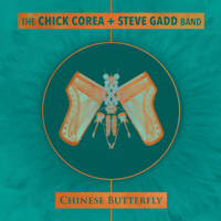 Chick Corea & Steve Gadd - Chinese Butterfly artwork