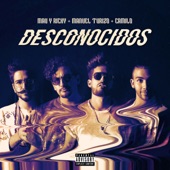 Desconocidos artwork