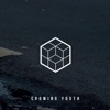 Crowing Youth - Single