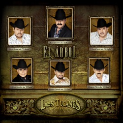 Los Tucanes de Tijuana - Tolín Infante