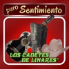 No Hay Novedad by Los Cadetes De Linares iTunes Track 16