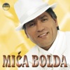 Mića Bolda