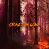Crazy in Love song lyrics