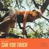 Can You Touch - Single album lyrics, reviews, download