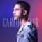 Una Lady Como Tú - Carlos Zaur lyrics