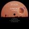 X-Press - Synebot lyrics