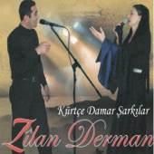 Kürtçe Damar Şarkılar artwork