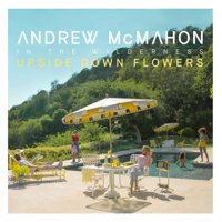 Andrew McMahon In the Wilderness - Upside Down Flowers artwork