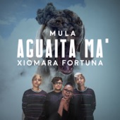Mula - Aguaita Ma'