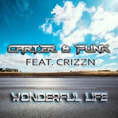 Wonderful Life (feat. Crizzn) [Raindropz! Remix] artwork