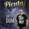 Picuta - Metade Paz Metade Dor