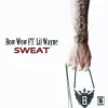 Sweat (feat. Lil Wayne) song lyrics