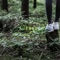 Aufbruch (feat. Toni Strange & Kulturerbe Achim) - FOG lyrics