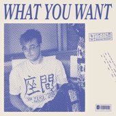 What You Want artwork