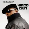 Hired Gun album lyrics, reviews, download