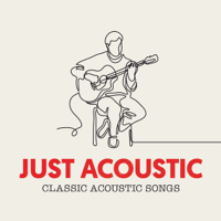 Various Artists - Just Acoustic artwork
