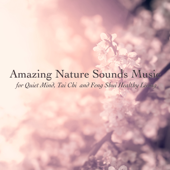 Amazing Nature Sounds Music for Quiet Mind, Tai Chi and Feng Shui Healthy Living - 125 Nature Sounds