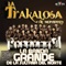 Como los Gatos (feat. Xitlali Sarmiento) - Edwin Luna y La Trakalosa de Monterrey lyrics