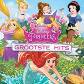 Disney Princess Grootste Hits artwork