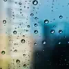 Rain Fall on a Window - Single album lyrics, reviews, download