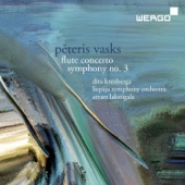 Vasks: Flute Concerto & Symphony No. 3 artwork