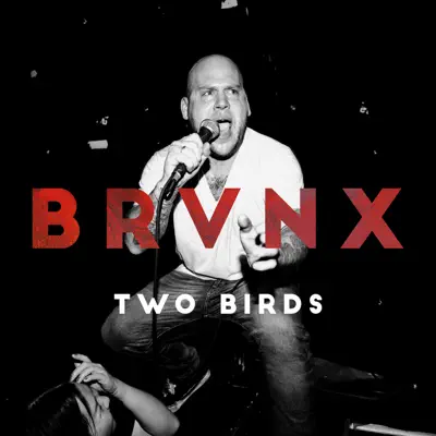 Two Birds - Single - The Bronx
