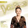 The Complete Season 13 Collection (The Voice Performance) album lyrics, reviews, download