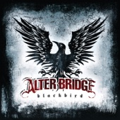 Alter Bridge - Rise Today