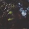 Approaching Spring - Jakob Ahlbom lyrics